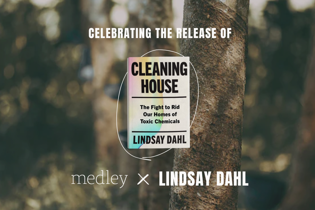 An Interview with Lindsay Dahl