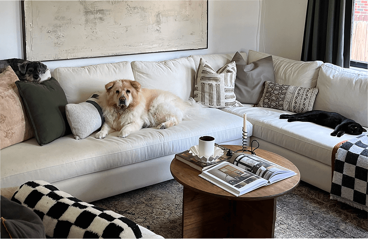 The Ultimate Guide to Buying a Pet-Friendly Sofa or Sectional