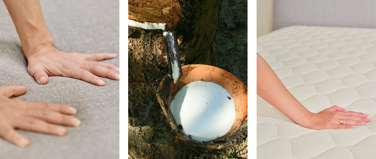 Natural Latex Explained: Sofas, Mattresses, and more