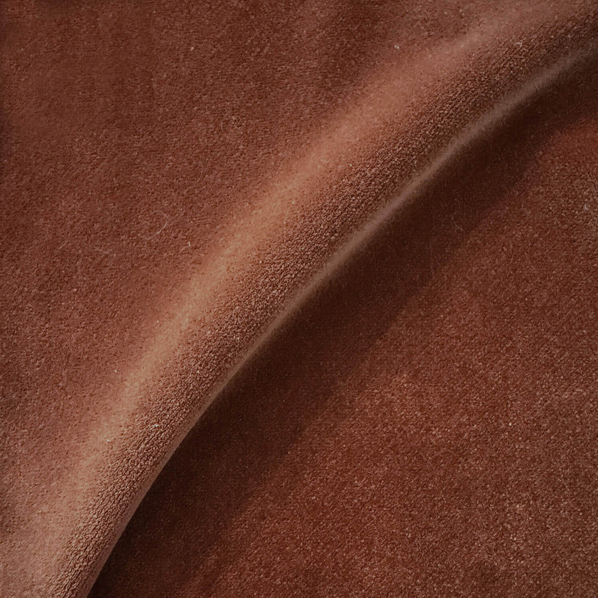 Acer Rust Velvet