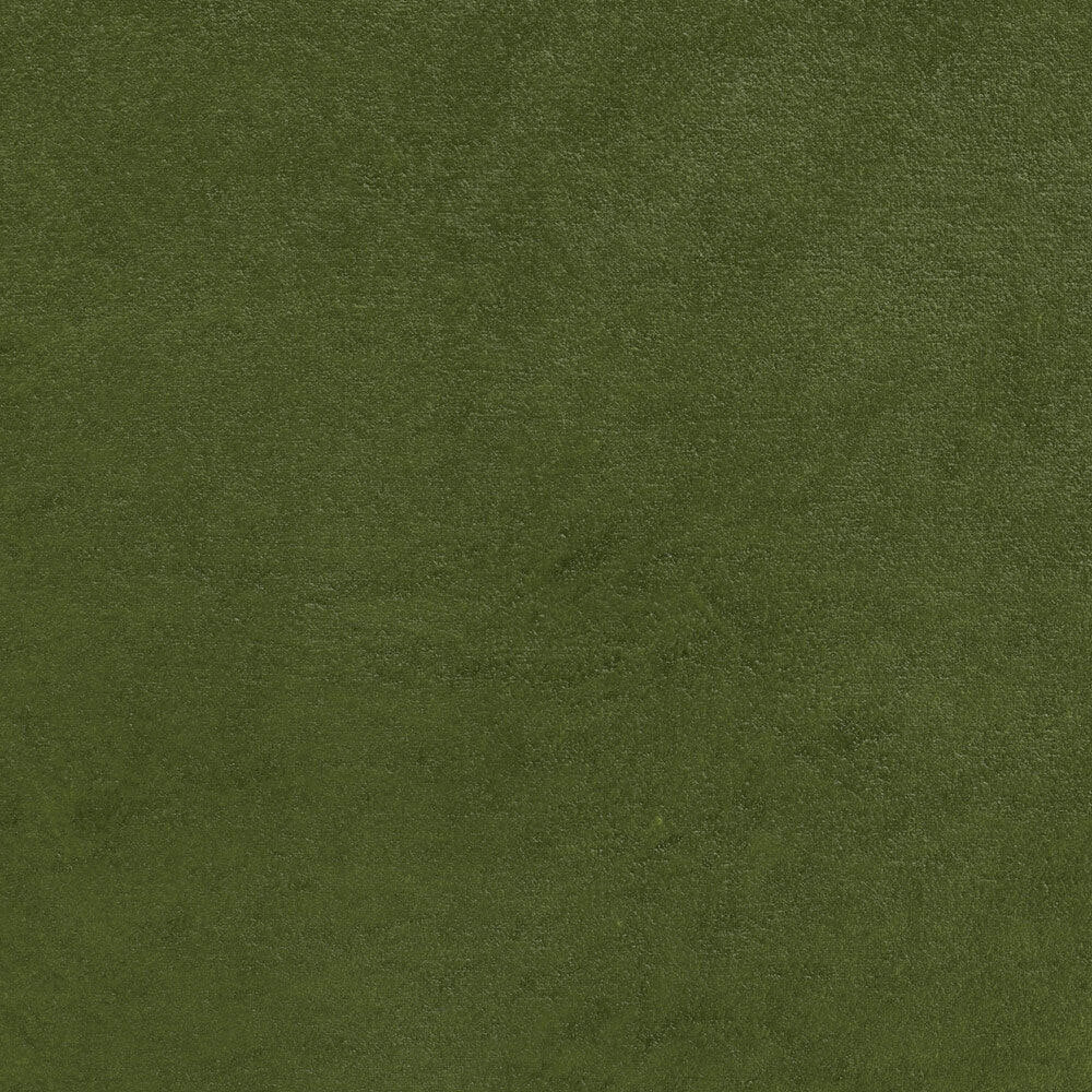 Aster Velvet Moss