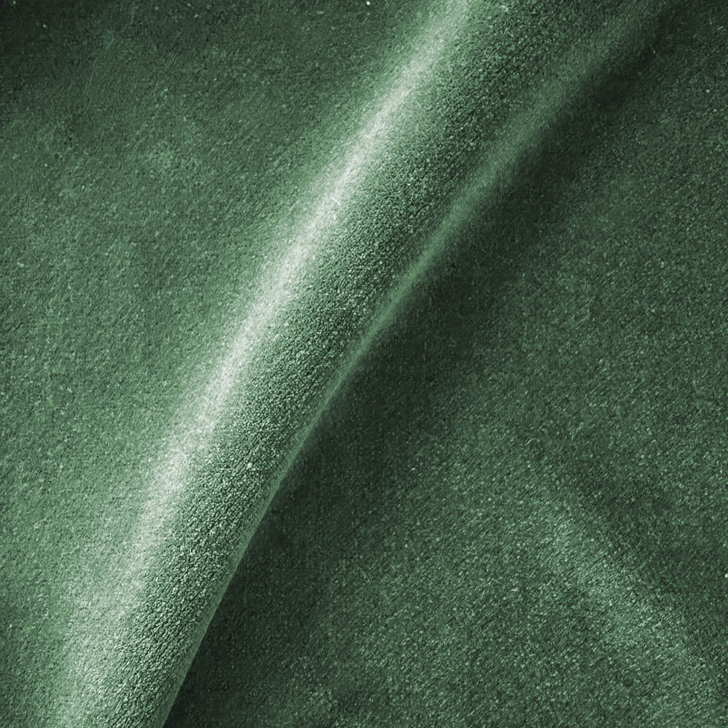 Aster Velvet Fern Fabric