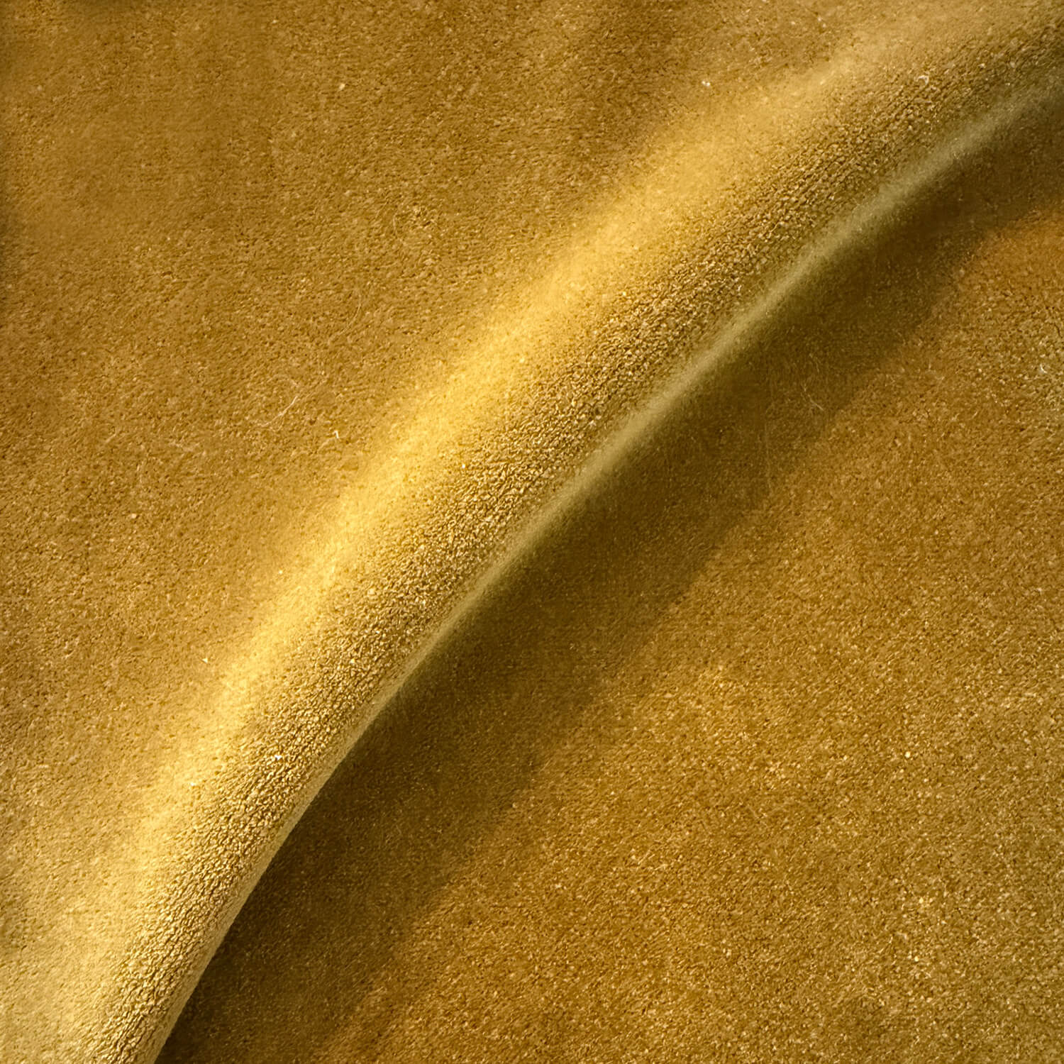 Aster Velvet Oro Fabric