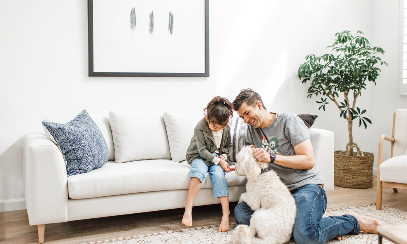 IRL: Shown in Larkspur Pearl fabric and Thom maple legs.