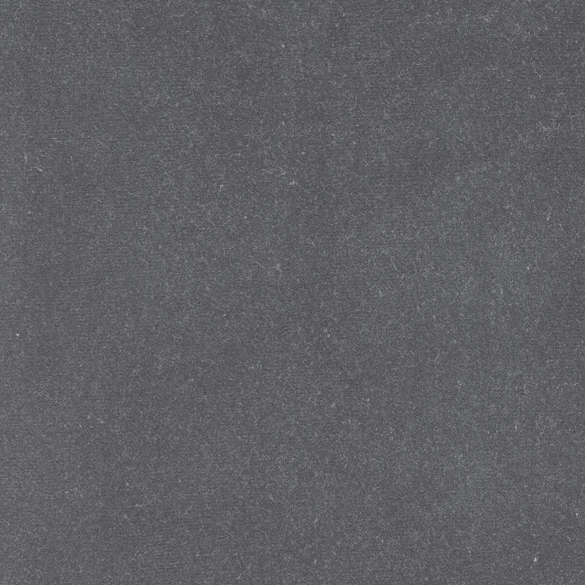 Canopy Light Gray Fabric