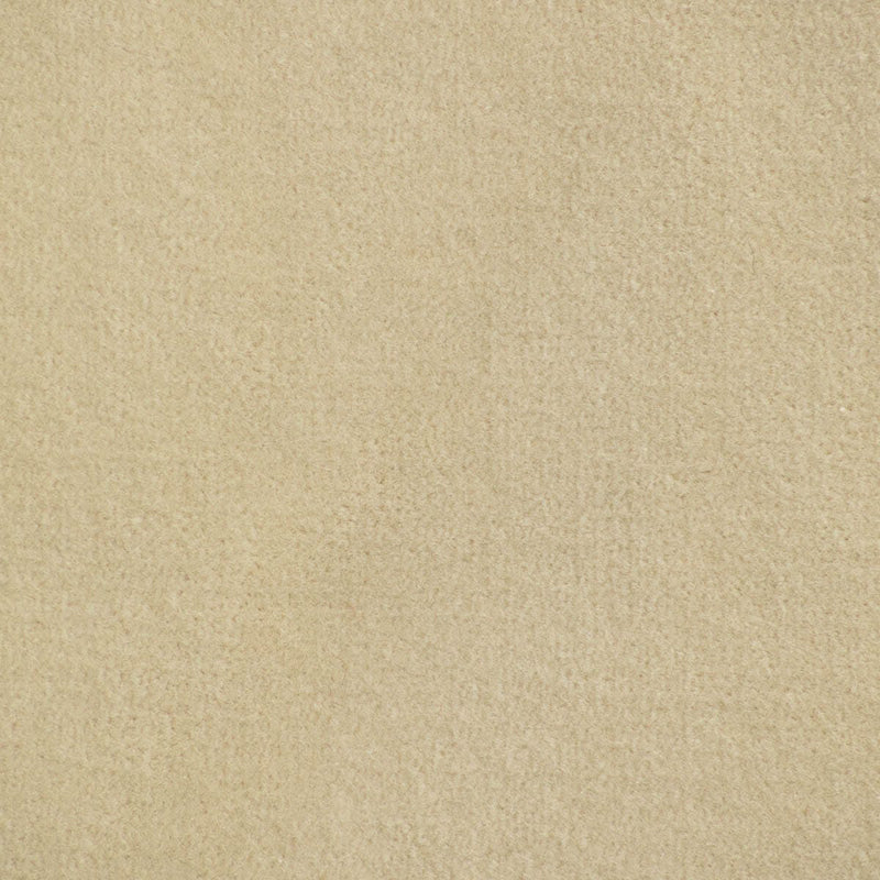 Canopy Warm Light Beige Fabric