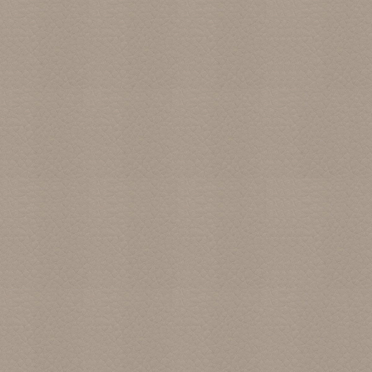 Premier-368 Peanut Leatherette by Sileather