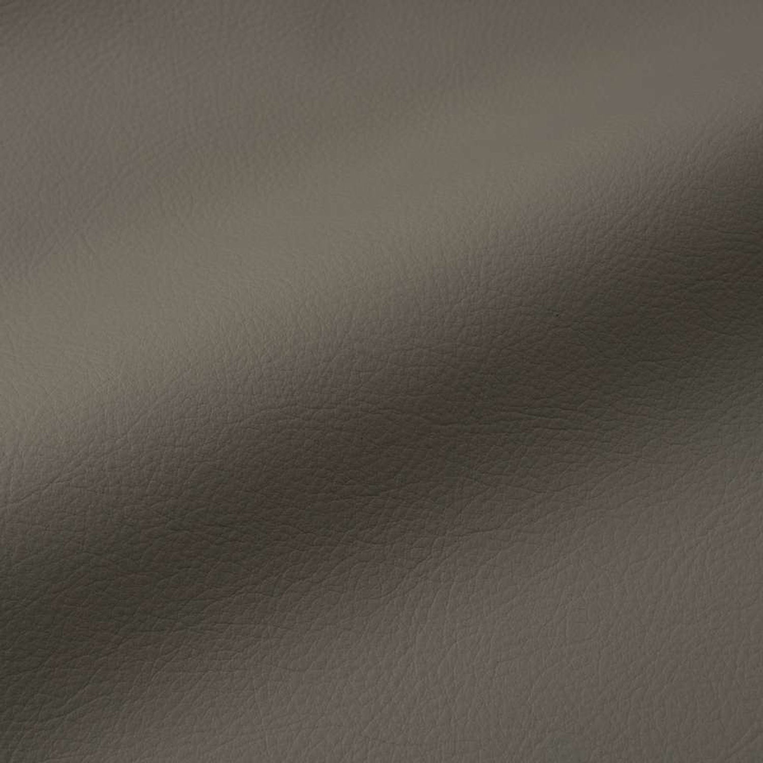 Vita Fossil Leather