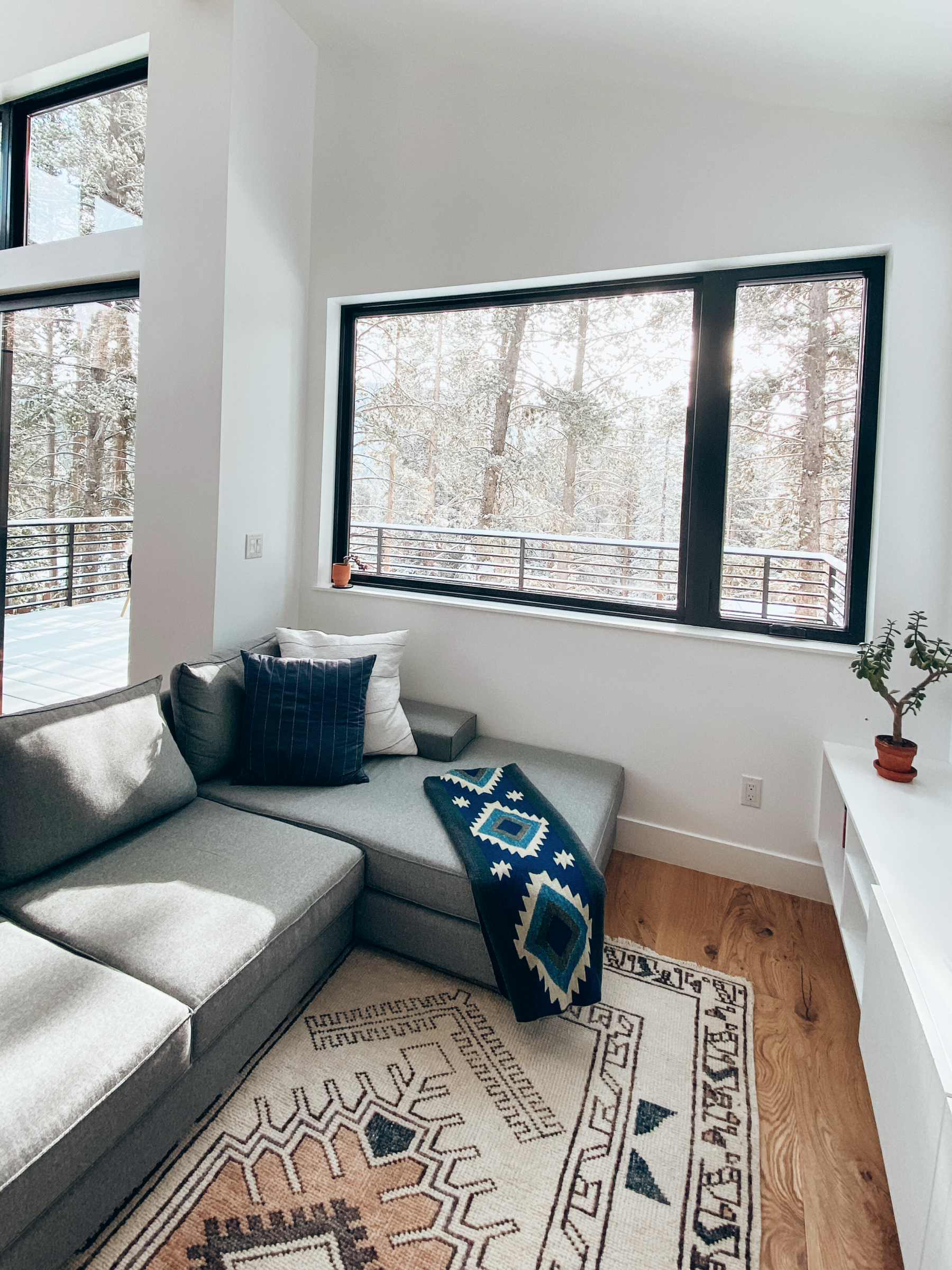 Cody and Annie's Light-filled Colorado Mountain House