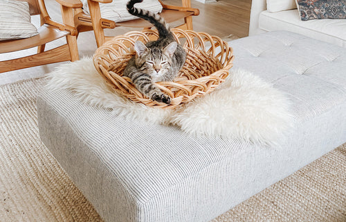 IRL:Styled by Emily Netz in the Nadi fabric.